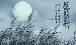 琵琶行动漫,穿越时空的旋律传奇