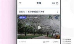 a片视频网,暗流涌动的网络世界