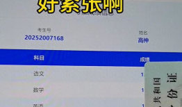 高考查分视频,见证青春梦想的绽放
