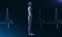 心脏跳动视频,揭秘心脏跳动的奥秘