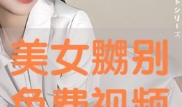 嬲别视频,揭秘网络恶搞背后的真相与影响